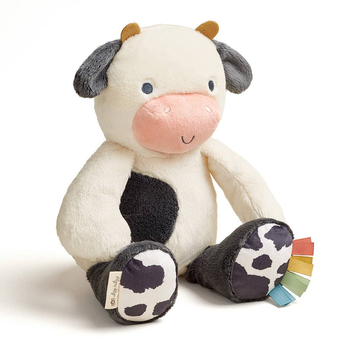 Itzy Ritzy - *NEW* Sweetie Snuggles™ Plush: Strawberry