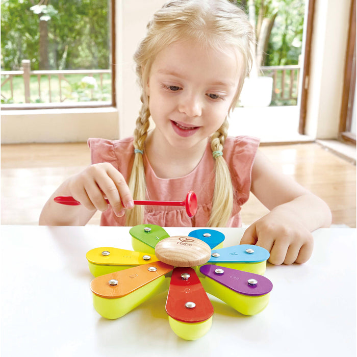 Hape Toys - Nature Band Rhythm Kit