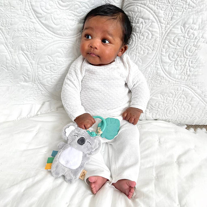 Itzy Ritzy - Itzy Pal™ Plush + Teether: Strawberry