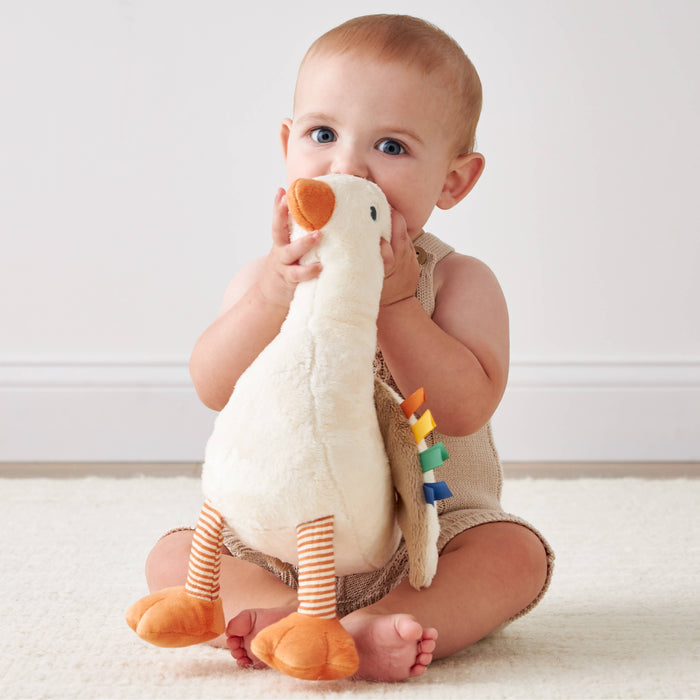 Itzy Ritzy - *NEW* Sweetie Snuggles™ Plush: Strawberry