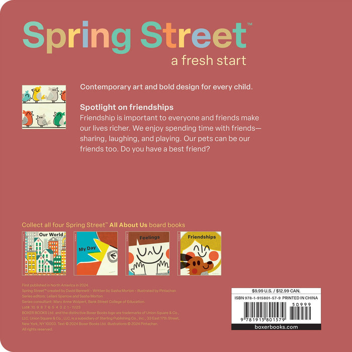 Hachette Book Group - Spring Street All About Us: Friendships by Boxer Books