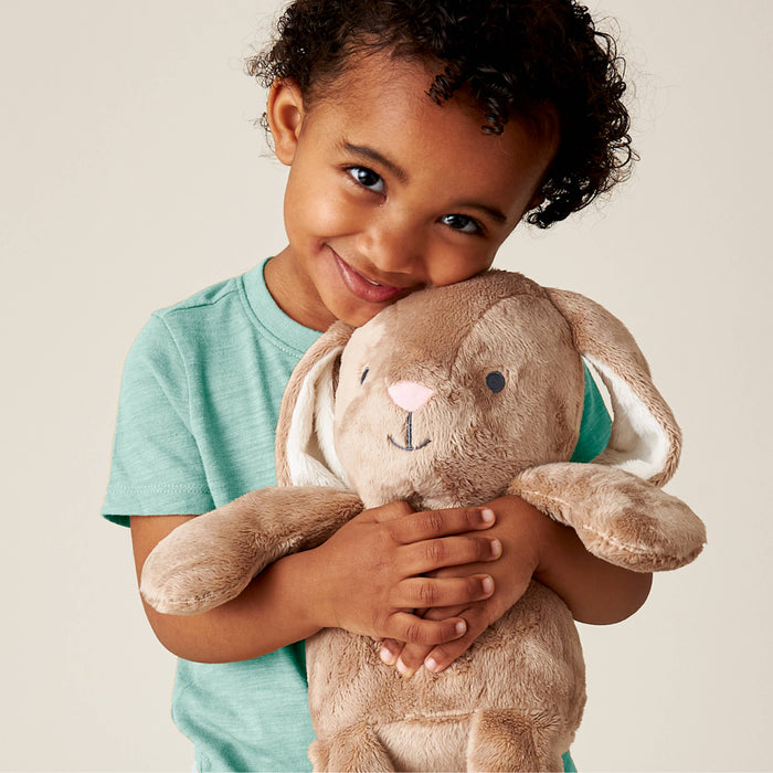 Itzy Ritzy - *NEW* Sweetie Snuggles™ Plush: Strawberry