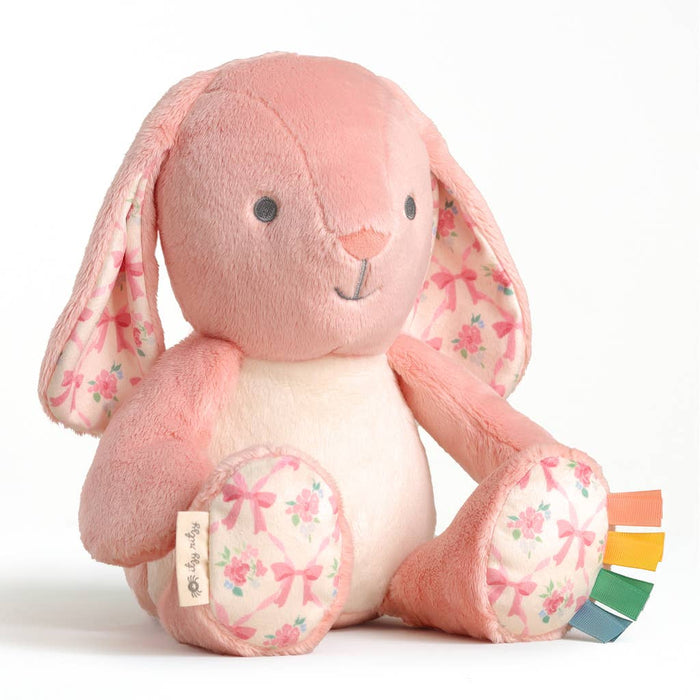 Itzy Ritzy - *NEW* Sweetie Snuggles™ Plush: Strawberry