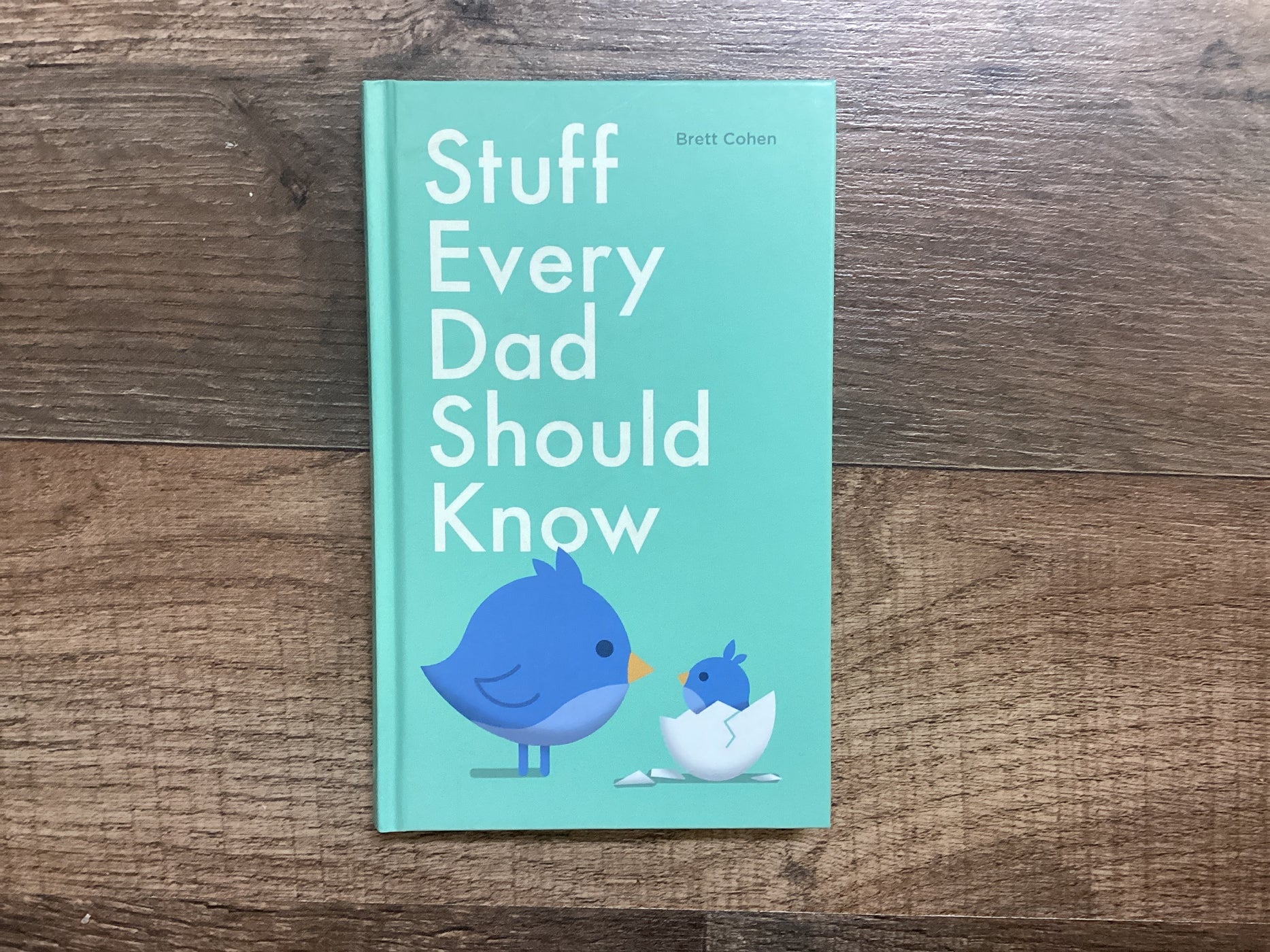 Stuff Every Dad Should Know — Hello Baby & Kids