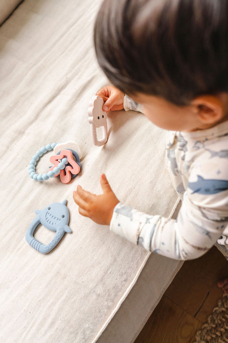 Wild Teether - Sharky