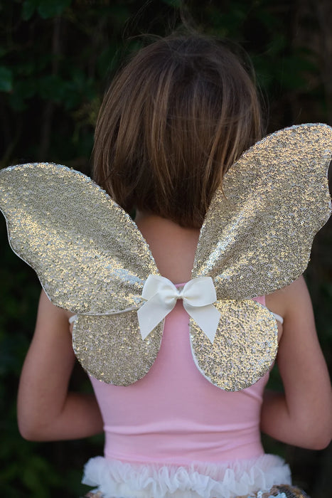 Gracious Gold Sequins Skirt, Wings, Wand