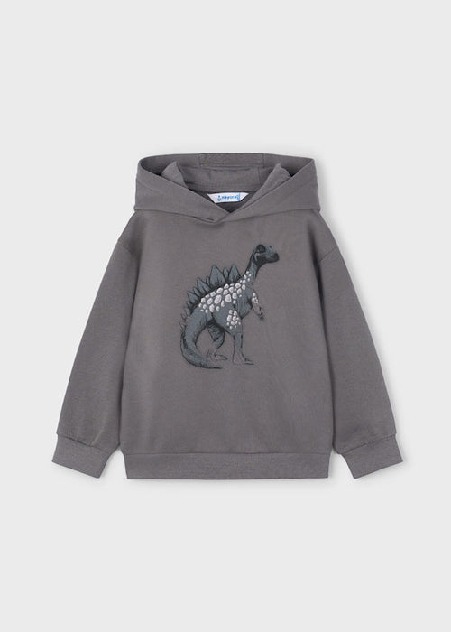 Dinosaur Pullover Hoodie