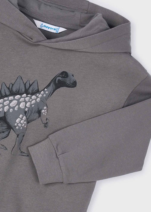 Dinosaur Pullover Hoodie