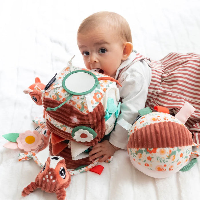 Activity Cube Melimelos the Deer