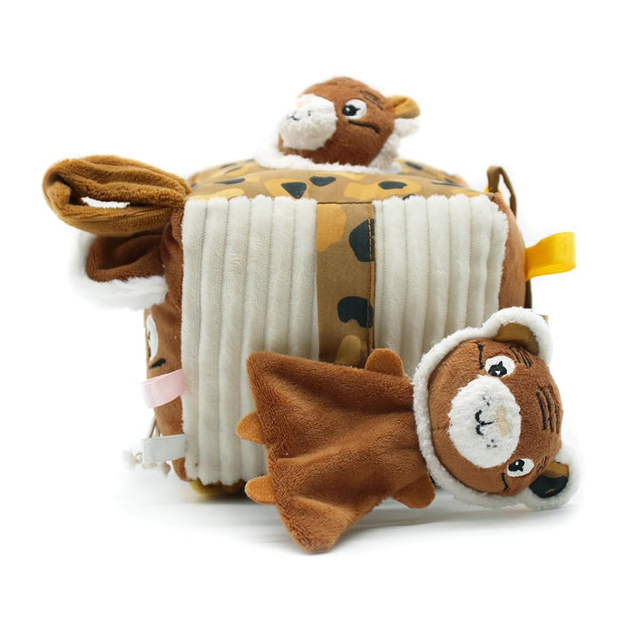Activity Cube Speculos the Tiger