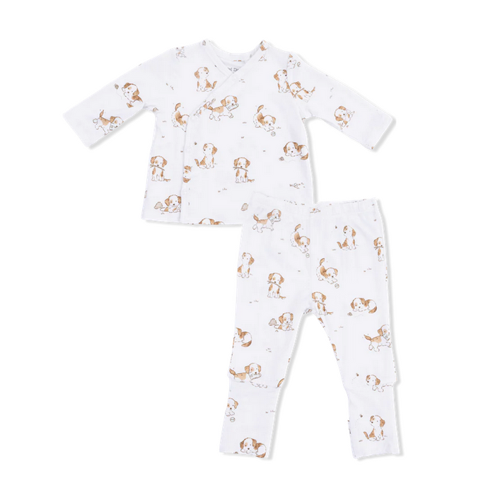 Explorer Puppy Take Me Home Set