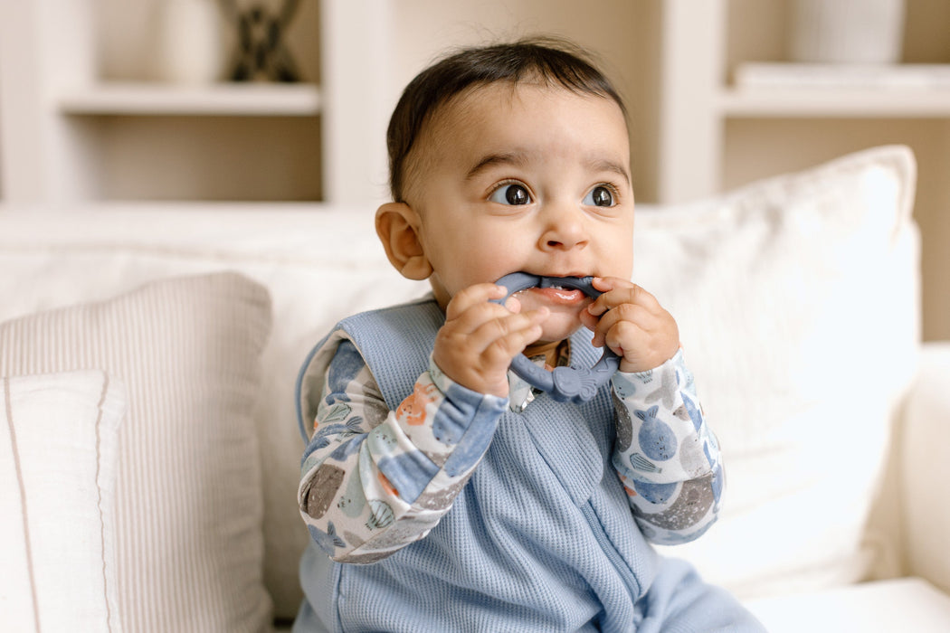 Wild Teething Ring Set - Blue Fog