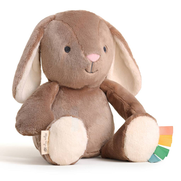 Itzy Ritzy - *NEW* Sweetie Snuggles™ Plush: Strawberry