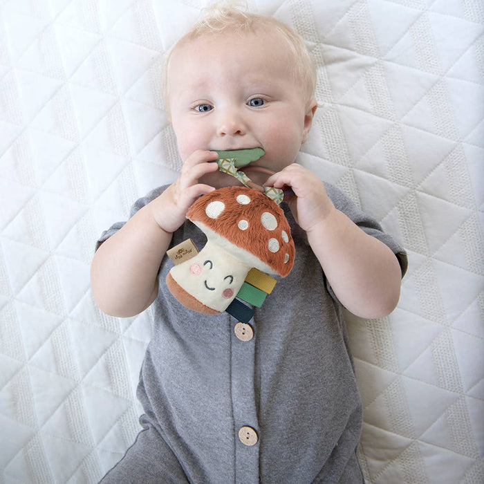Itzy Ritzy - Itzy Pal™ Plush + Teether: Strawberry