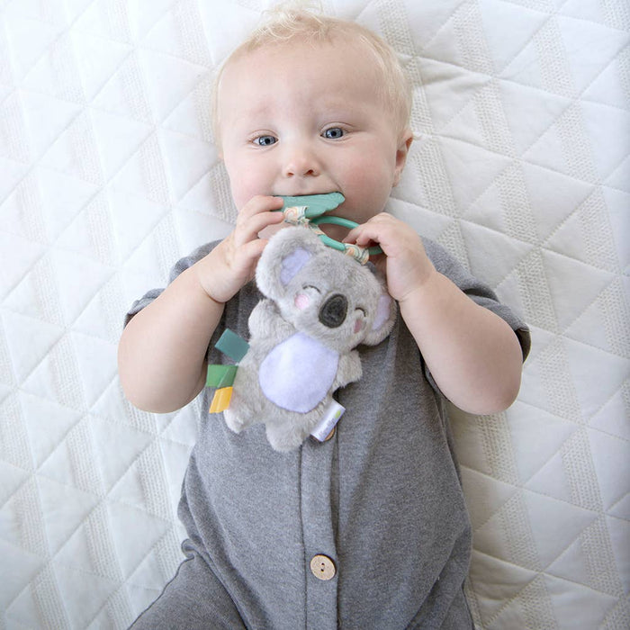 Itzy Ritzy - Itzy Pal™ Plush + Teether: Strawberry