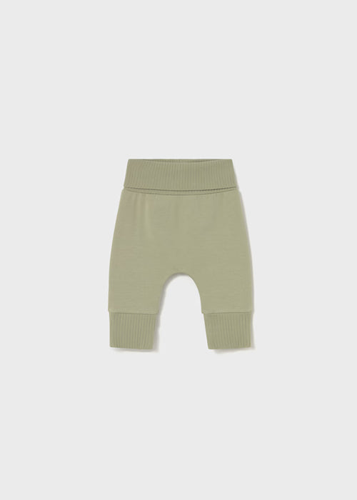 Tree 3-Piece Tracksuit