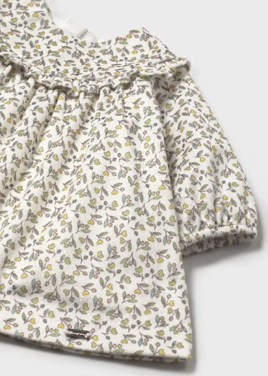 Floral Printed Velvet Dress