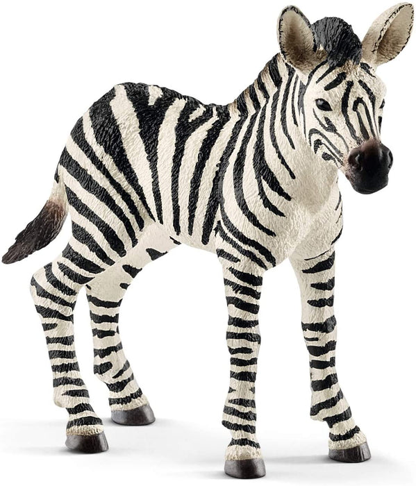 Zebra Foal Figurine